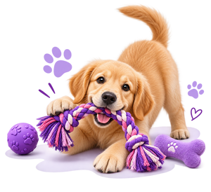 Playful Picks