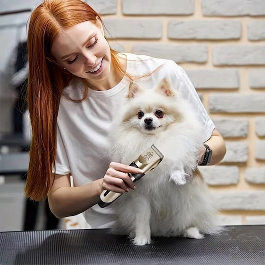 Professional Pet Hair Trimmer Kit