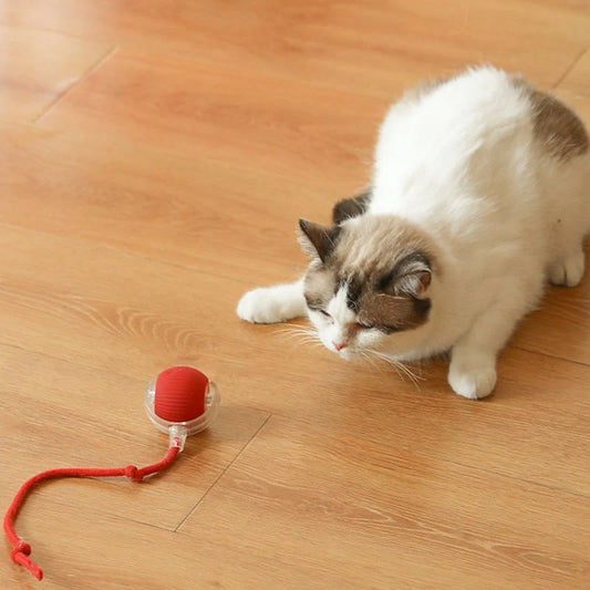 Automatic Interactive Cat Ball Toy