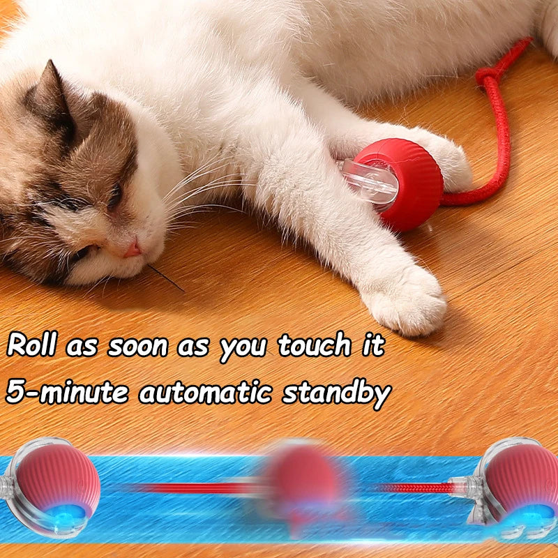 Automatic Interactive Cat Ball Toy