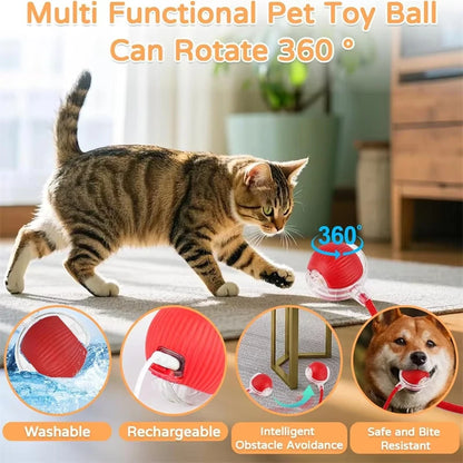 Automatic Interactive Cat Ball Toy