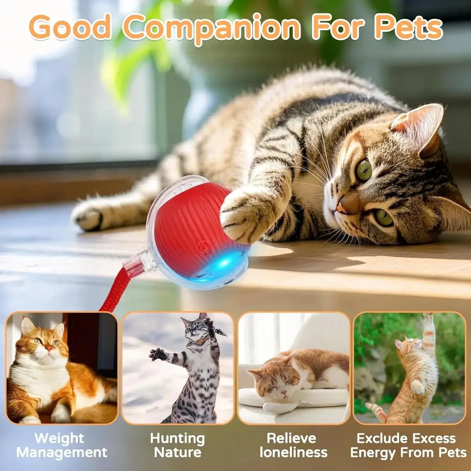 Furveltor™ Smart Rolling Ball for Cats Furveltor