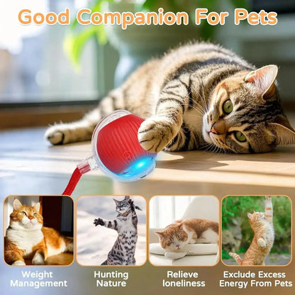 Furveltor™ Smart Rolling Ball for Cats Furveltor