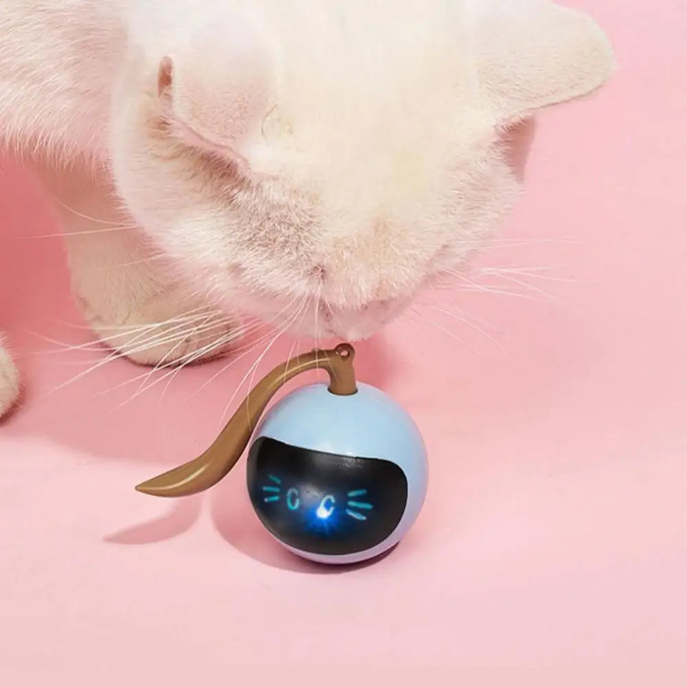 Smart Cat Toy