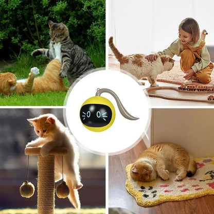 Smart Cat Toy