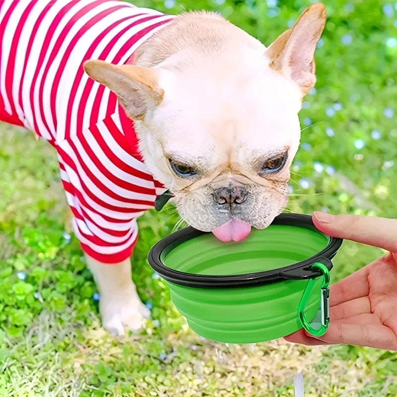 Travel Pet Feeding Bowl