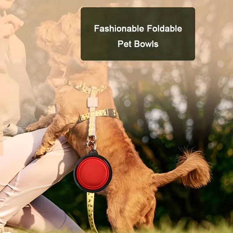 Travel Pet Feeding Bowl
