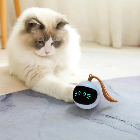 Smart Cat Toy