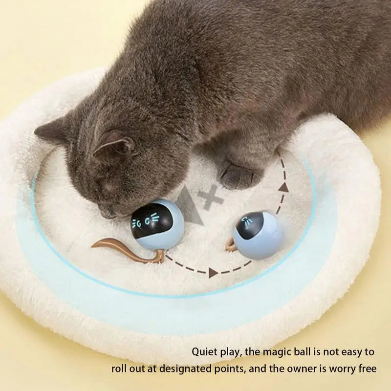 Smart Cat Toy