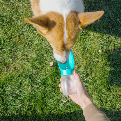 Portable Pet Water Bottle