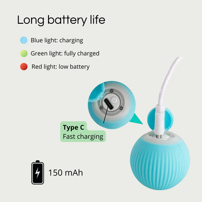 Smart Interactive Pet Toy Ball