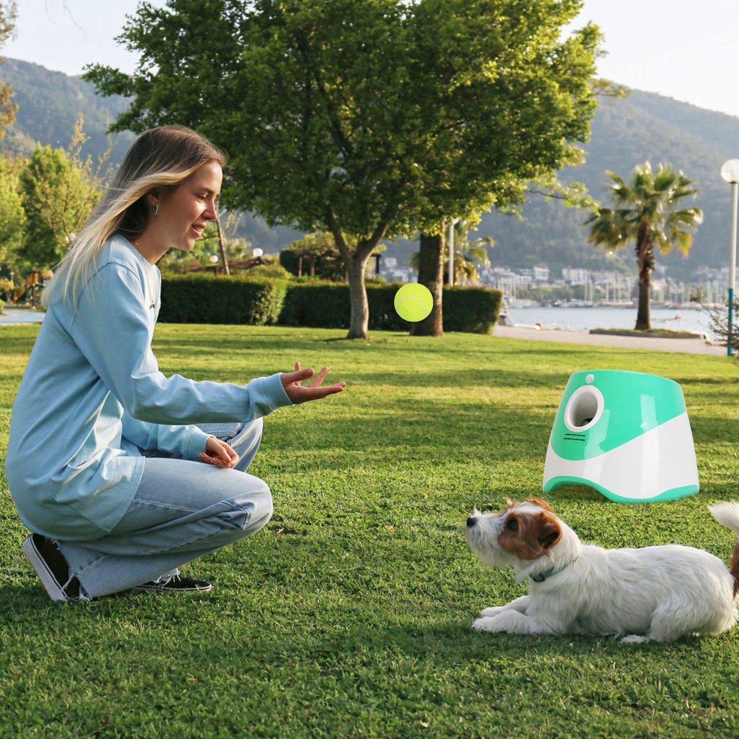 Automatic Ball Launcher