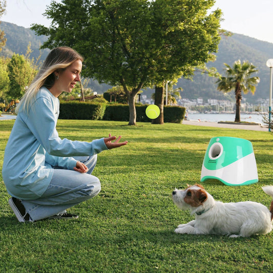 Automatic Ball Launcher